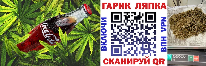 Canna-Cookies марихуана Уржум