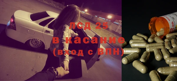 спайс Тавда