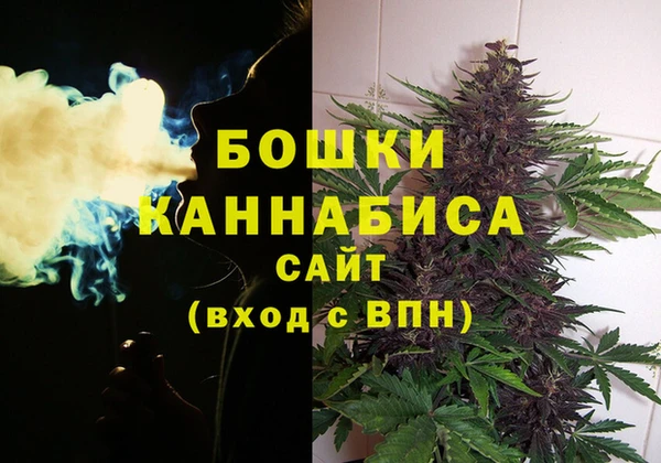 MDMA Тайга