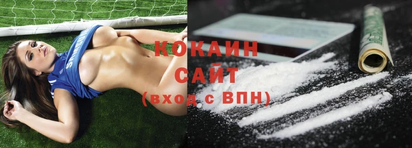 спайс Тавда