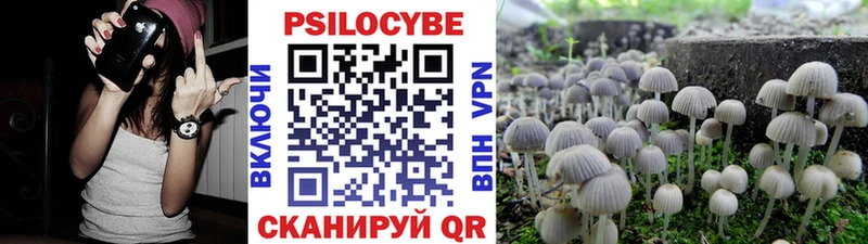 Псилоцибиновые грибы Magic Shrooms  Уржум 